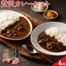 大阪 但馬屋 監修 カレー 詰め合わせ 食べ比べセット 2種 計4箱入 ビーフカレー 牛たんカレー ご飯のお供 洋惣菜