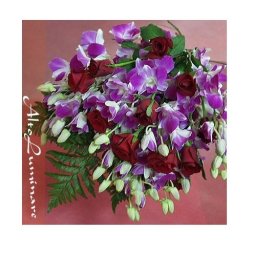 【花束】長持ちデンファレと真っ赤なバラの花束