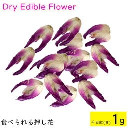 (全国送料無料)食べられる押し花 ドライエディブルフラワー  千日紅(青) 1g 食用花 ドライフラワー  メール便(omtmb8692)