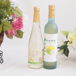 国産フルーツワインと梅酒2本セット(シャインマスカット＆ナイアガラ 信州小梅酒) 500ml×2本