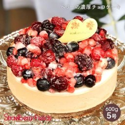 ベリーの濃厚チョコケーキ 5号 15cm  スイーツ 誕生日