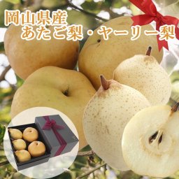 夏ギフト お中元 ギフト 【12月上中旬からお届け】 誕生日 プレゼント フルーツ ギフト梨 【ヤーリー梨 3玉】【あたご梨 2玉】 岡山県産 食べ物 果物 化粧箱入り リボン
