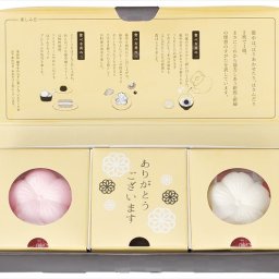 送料無料　桜もなか 3808 内祝い 結婚式 記念品 プレゼント 内祝 出産内祝い 