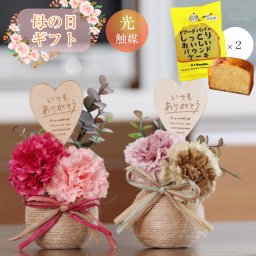 母の日 ギフト 花とスイーツ カーネーション ビアードパパ しっとりおいしいパウンドケーキ