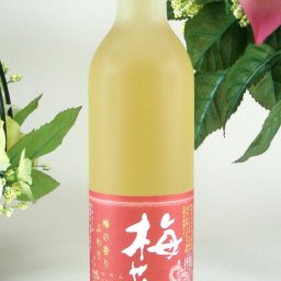 12本セット あさ開酒造　梅花音　梅酒　500ｍ×12本ｌ（岩手県）