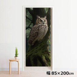 のれん 暖簾 洗える 目隠し 間仕切り タペストリー オリジナルプリント 転写 約85×200cm 200丈 ミラーレース NOR-C077 フクロウ