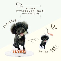 【名入れ】【アクリルスタンドキーホルダー】写真入り アクキー アクスタ オリジナル うちの子 ペット グッズ  送料無料