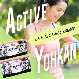 【干し芋】ようかん 羊羹 小豆 干し芋 あんこ 運動 アウトドア 乳酸菌 オリゴ糖 お菓子 個包装 送料無料 小分け 和菓子 お取り寄せ お取り寄せスイーツ 芋 さつまいも 美味しいお菓子 おやつ active-imo
