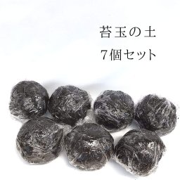 苔玉の土 ７個セット  作り方のしおり付 こけだま 苔 こけ コケ コケダマ こけ玉 苔玉手作り 苔玉キット ケト土