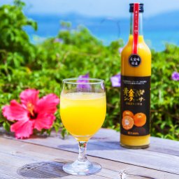 大宜味村産 シークワーサー 飲み比べ セット 青切 黄金 シークワーサージュース ストレート 飲料 南国 シークヮーサー 原液 詰め合わせ 無添加 ジュース 沖縄名産 やえやまファーム
