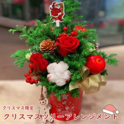 クリスマスアレンジメント ツリー クリスマスツリー 期間限定 赤バラ 彼女 告白 クリスマス プレゼント 生花 バラ 小物 花 誕生日 即日発送 退職 開店 オープン お祝い ギフト メッセージカード 生花 退職祝い 誕生日プレゼント