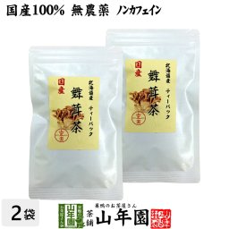【国産100%】舞茸茶 ティーパック 無農薬 3g×10パック×2袋セット ノンカフェイン まいたけ茶 マイタケ茶 キノコ ティーバッグ ギフト プレゼント 敬老の日 プチギフト お茶 2026 内祝い お返し 男性 女性 彼氏 彼女 贈り物 お土産