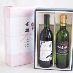 実りの秋の贈り物 感謝の贈り物ボックス長野県産ブラッククイーン赤葡萄100%と国産ワインセット(甲州遅摘み 白 完熟甘口ワイン 甘口(山梨県)720mlミュゼドゥヴァン 松本平ブラッククィーン辛口赤ワイン(長野県)720ml