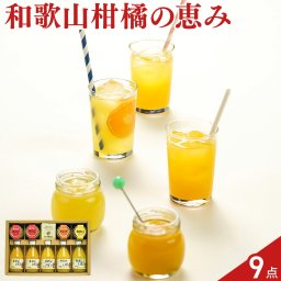 伊藤農園 100％ピュアジュース 4種 寒天ジュレ 3種 詰め合わせ 計9点入 ジュース ゼリー 果汁100％ 和歌山県産 果物