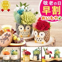 ＼早割！9/8の16時まで／ 敬老の日 誕生日 プレゼント 花 ギフト プリザーブドフラワー アニマル 動物 ペア ミニ 小さい かわいい おしゃれ ふくろう 犬 猫 バラ 薔薇 一輪 セット どら焼き どらやき 送料無料 スイーツ お菓子 和菓子 ギフトセット 母 実母 自分の母 義母 妻 40代 50代 60代 70代 花セット 花とお菓子 おいもや 敬老の日 誕生日期間 翌日配送 不可