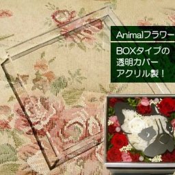 透明カバー