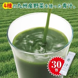 九州産 青汁 3g×30包 4種の九州産野菜 大麦若葉 ケール 明日葉  ゴーヤ スティクタイプ 粉末 個包装 送料無料