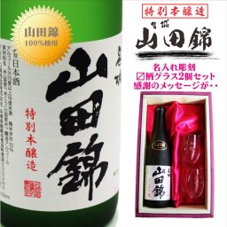 名入れ 日本酒 ギフト【 名城 山田錦 特別本醸造 720ml 】 名入れ 〼柄目盛り付　グラス 2個セット 日本酒 還暦祝い 退職祝い 名入れ 名前入り お酒 酒 ギフト 彫刻 プレゼント 無料 ラッピング 父の日 成人祝い 還暦祝い 古希 名入れ彫刻 誕生日 贈り物 結婚祝い