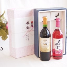 感謝の贈り物ボックス長野県塩尻市の名門ワイナリー赤ワインと国産ワインセット(実りの収穫 ロゼワイン やや甘口(山梨県)720mlアルプスミュゼ ダイナスティ 塩尻メルロー2018赤ワイン