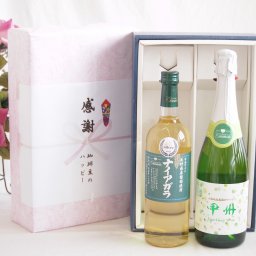 実りの秋の贈り物 感謝の贈り物ボックス 長野県産葡萄ナイアガラ種使用ワインと国産ワイン2本セット(勝沼仕込みの甲州白スパークリングワインやや辛口(山梨県)720mlシャンモリナイアガラやや甘口白ワイン(山梨県)720ml