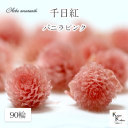 大地農園！プリザーブドフラワー 　90輪【千日紅　センニチコウ バニラピンク】ヘッドのみ　プリザ　花材 ハーバリウム おしゃれ かわいい プレゼント 贈り物　オオチノウエン