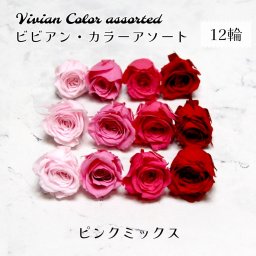 大地農園！プリザーブドフラワー 「ビビアン・カラーアソート ピンクミックス 4色×3輪ずつ 12輪」 シャーベットピンク プリンセスピンク フランボワーズ クイーンレッド プリザ 花材 ハーバリウム オオチノウエン バラ 薔薇 ローズ rose