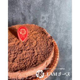 チョコレアチーズケーキ【無料ラッピング・熨斗対応】【内祝い・ギフト】【冷凍】誕生日 プレゼント