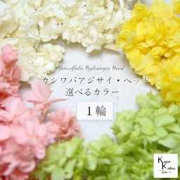 大地農園！ プリザーブドフラワー 「カシワバアジサイ 選べるカラー 1輪分」 アジサイ