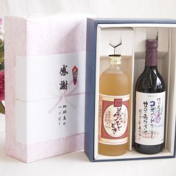 実りの秋の贈り物 感謝の贈り物ボックス プレミアムな麦焼酎と国産ワインセット(酸化防止剤無添加 信州コンコード赤ワイン 甘口(長野県)720ml夢のひととき熟成麦焼酎25°(大分県)720ml