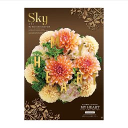 内祝 お返し ギフト プレゼント 出産祝い 結婚内祝 引っ越し 新築 カタログギフト マイハート スカイ Sky 送料無料