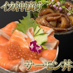 【特選】サーモン丼＋夜焚きイカ沖漬けセット サーモン イクラ 絶品 お取り寄せ お取り寄せグルメ 高級 海鮮 お中元・お歳暮などの贈り物に最適。魚介類・水産加工品 御祝  母の日 父の日 敬老の日 お中元 お歳暮
