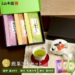 【お茶 日本茶 ギフト】【煎茶詰め合わせセット】高級煎茶３本セット（露ひかり100g+天與の雫100g+霧そだち100g）<BR><BR>送料無料 敬老の日 プチギフト お茶 2026 静岡茶 掛川茶 緑茶 ギフト プレゼント 高級 名入れ 内祝い お返し 香典返し 誕生日 定年退職 法要 通販