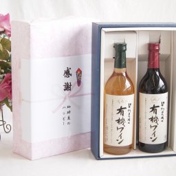 冬の贈り物お歳暮 感謝の贈り物ボックス有機栽培100%白ワインと国産ワインセット(酸化防止剤無添加 契約農場の有機赤ワイン やや甘口(長野県)720ml