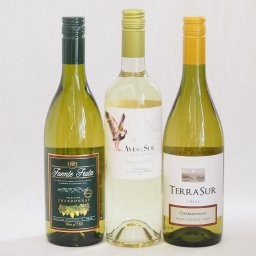 チリ産白ワイン3本セット(テラスルシャルドネ デルスールソーヴィニヨン フエンテフルータシャルドネ) 750ml×3本