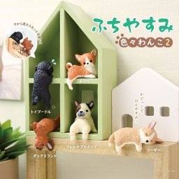 【全5種類セット】ふちやすみ 色々わんこ2 ガチャ ガチャガチャ コンプリート 中身 動物 犬 いぬ かわいい フィギュア おもちゃ エール トイプードル チワワ ダックスフンド フレンチブルドッグ コーギー