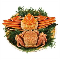 ずわいがに毛がに2尾セット  5035 内祝 内祝い お祝 御祝 記念品 出産内祝い プレゼント 快気祝い 粗供養 引出物
