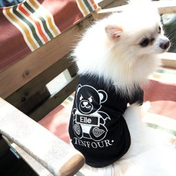 クマTシャツ XXL-3XLサイズペット 犬服 犬の服 名入れ 名前入り 名入り 名前入り 半袖 春 夏 Tシャツ おしゃれ かわいい 犬 飼い主 服 好き プレゼント 誕生日 小型犬 中型犬 チワワ トイプードル ポメラニアン マルチーズ マルプー ダックスフンド