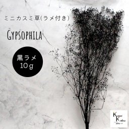 大地農園！プリザーブドフラワー「ミニカスミ草(ラメ付き) 黒ラメ 10ｇ」 プリザ カスミ草　カスミソウ 花材 ハーバリウム おしゃれ かわいい プレゼント 贈り物　オオチノウエン