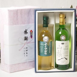 実りの秋の贈り物 感謝の贈り物ボックス 長野県産葡萄ナイアガラ種使用ワインと国産ワイン2本セット(山梨 甲州 白ワイン やわらかな辛口(山梨県)750mlシャンモリナイアガラやや甘口白ワイン(山梨県)720ml