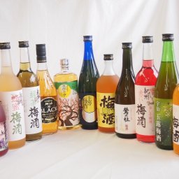 豪華梅酒11本セット(おばあちゃんの梅酒 芋焼酎仕込五代梅酒(鹿児島) 宇治玉露梅酒(京都) 赤しそ赤い梅酒(和歌山) 樽熟梅酒天空の月(大分) 鍛高譚梅酒 梅酒 鶯の杜(奈良) 芳醇ブランデー仕立チョーヤ梅酒 蜂蜜梅酒(和歌山) 無添加上等梅酒(鹿児