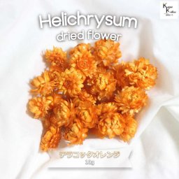 大地農園！ドライフラワー　10ｇ分　「ヘリクリサム　テラコッタオレンジ」プリザ　花材 ハーバリウム おしゃれ かわいい プレゼント 贈り物　オオチノウエン プリザーブドフラワー