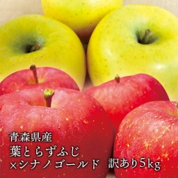 青森県産 葉とらずふじ・シナノゴールドセット ご家庭用5kg (約14〜18個) 人気の訳ありリンゴ 青森産 訳あり サンふじ りんご 林檎