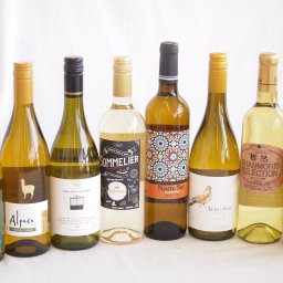 余韻に酔いしれるシャルドネ白ワイン8本セット(アルパカ ネセミヨン辛口Alc.12.5%(チリ) ノルテ スルAlc.13%(スペイン) デル スール辛口Alc.13%(チリ) ヴィーニャ サン エステバン クラシックAlc.13%(チリ) ソムリエAl