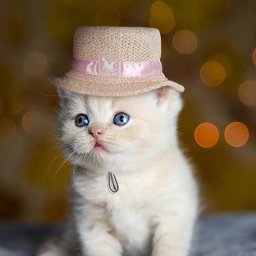 犬用 猫用 麦わら帽子 ピンクリボン Sストローハット カンカン帽 ペット用アクセサリー チワワ トイプードル 柴犬 ミニチュアダックス