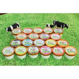 【北海道・手づくりアイスクリーム】D-20セット(100ml×20個)