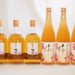 梅酒6本セット(加賀梅酒(石川県) 高千穂産梅使用熟成梅酒) 720ml×6本