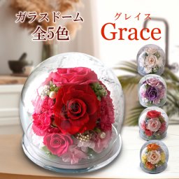 プリザーブドフラワー プレゼント ガラスドーム 女性 誕生日 プレゼント 30 40 50 代 花 記念日 名入れ ブリザードフラワー プリザードフラワー 結婚祝い 結婚記念日 退職祝い 送別会 結婚式 電報 還暦祝い 長寿祝い お祝い 贈り物 御礼 バラ カーネーション お供え お悔やみ お見舞い ラウンド｜ フローリストレマン グレイス