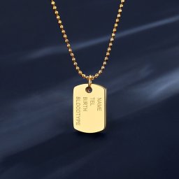 ネックレス 石なし ステンレス イエローゴールド 可愛い かわいい カジュアル タグプレート NAME TEL BIRTH BLOODTYPE 41cm+5cm tn21022123