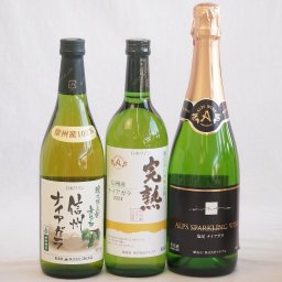 ナイアガラ葡萄フルーティーでフレッシュな風味ワイン3本セット(信州産完熟ナイアガラ 塩尻ナイアガラスパークリング 酸化防止剤無添加 信州ナイアガラ) 720ml×3本