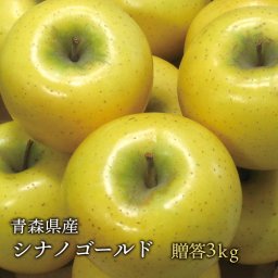 青森県産 葉とらずシナノゴールド ご贈答用3kg (約10個前後)プレミアムリンゴ ギフトに最適 青森産 りんご林檎